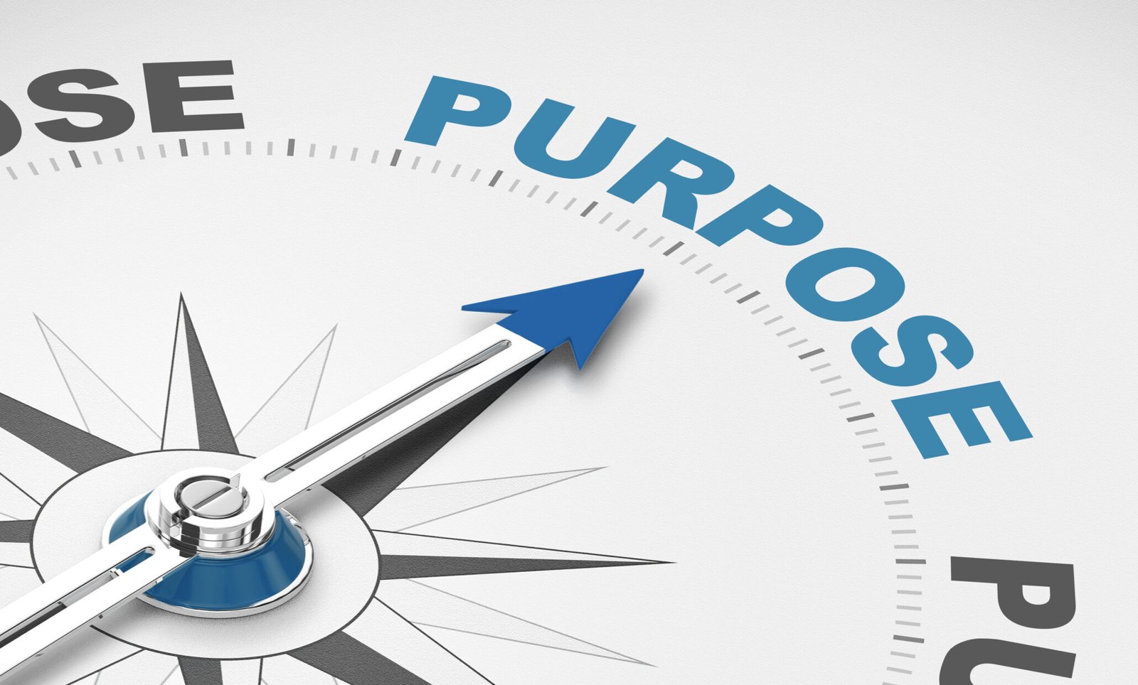 Read more about the article Designing a Purpose Worth Activating