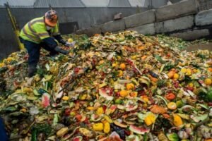 large composting food pile