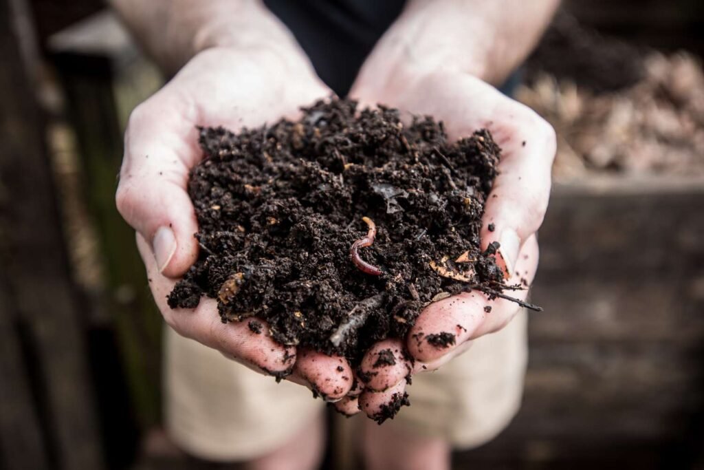 Image of hands holding healthy soil from composting